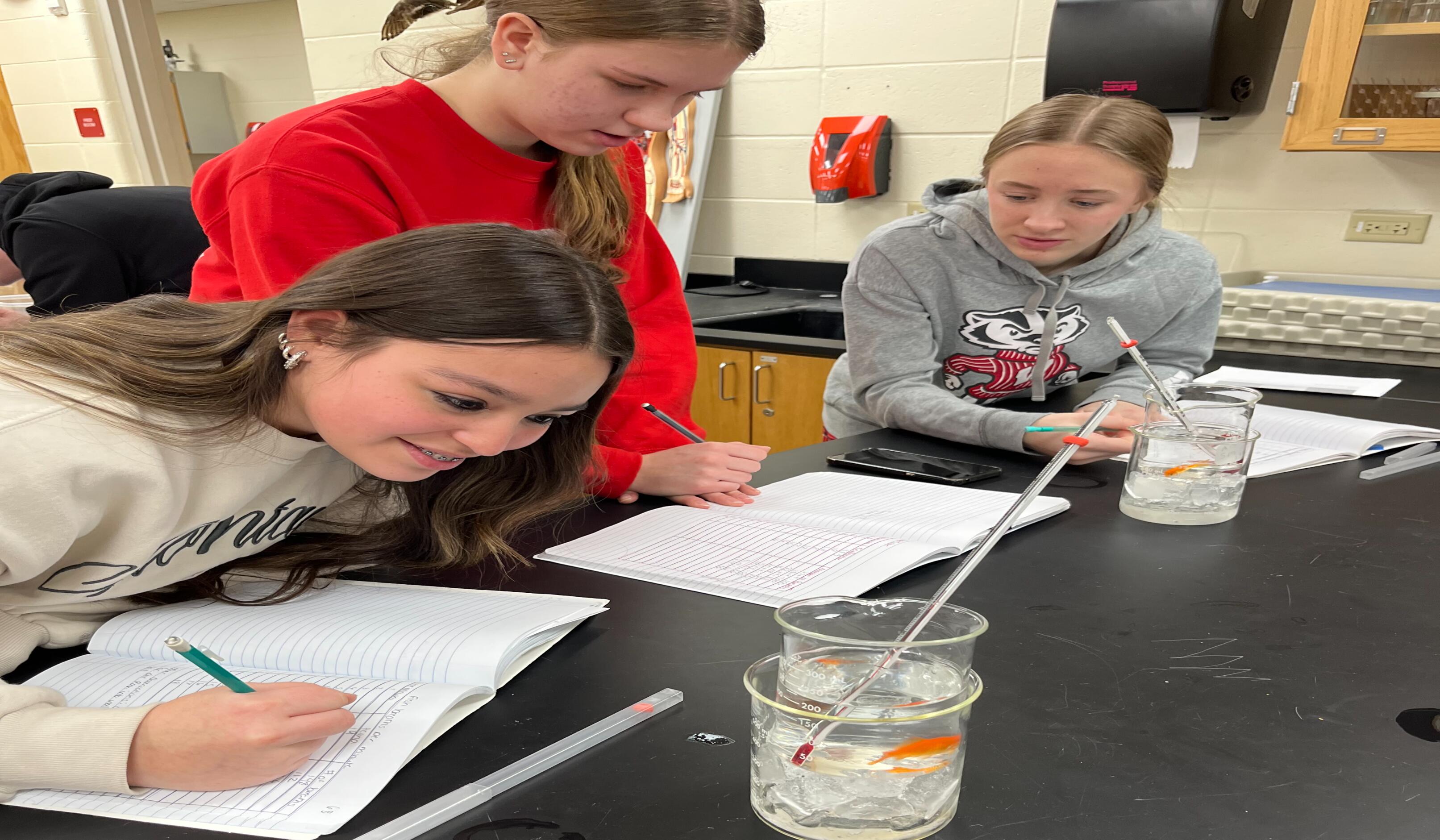 Does Temperature Influence the Rate of Cell Respiration in Goldfish?